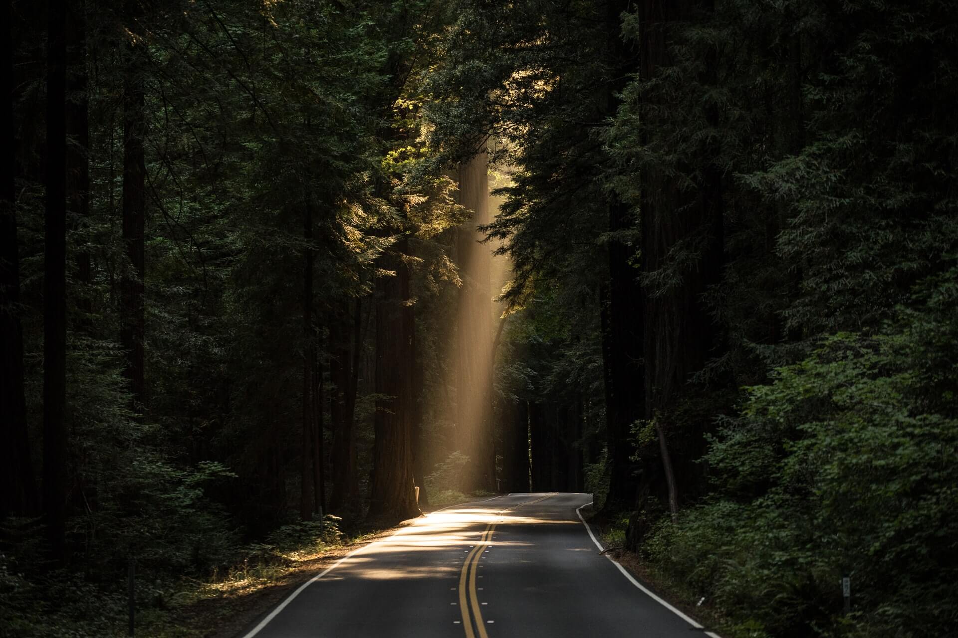 what-is-light