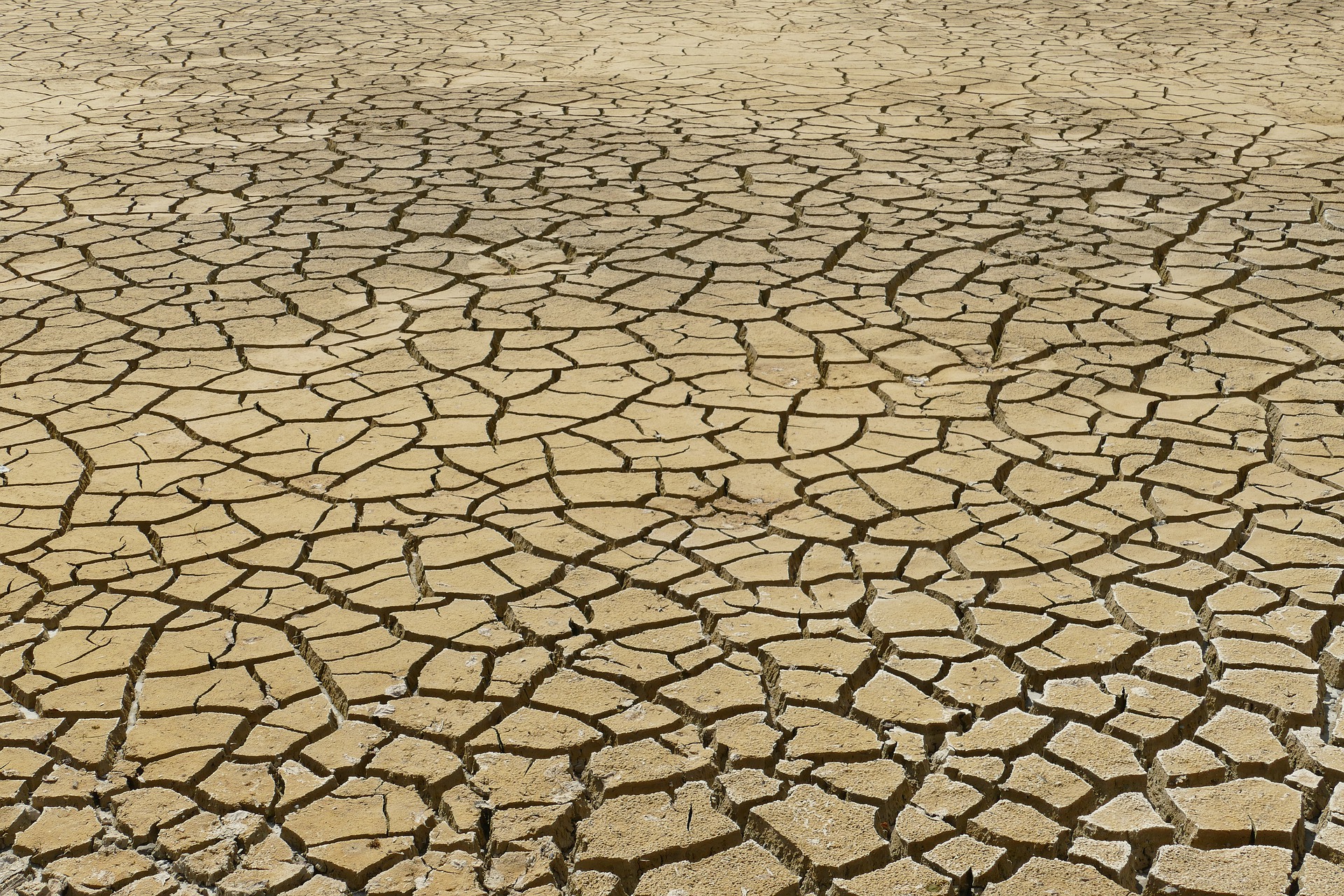 dry-4282884_1920