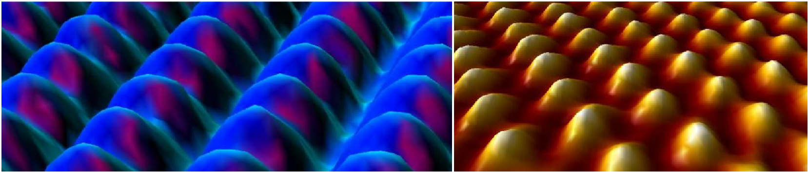 Electron microscope images