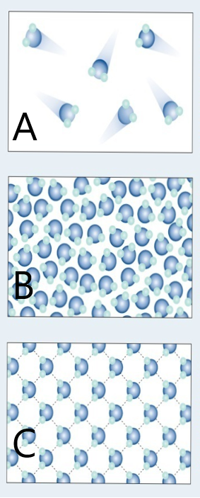 Water states